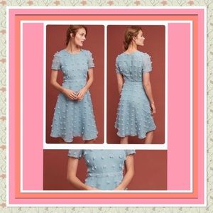 Anthropology Sunday in Brooklyn dress